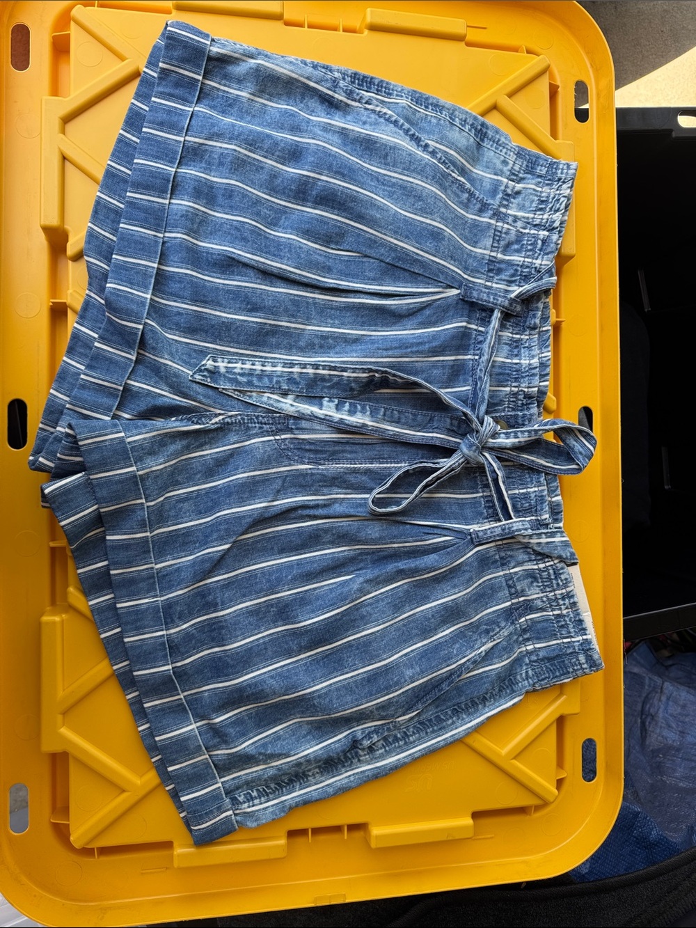 American Eagle Outfitters Blue and White Striped High Waist Shorts